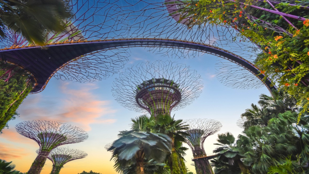 The famous Supertree Grove in Singapore