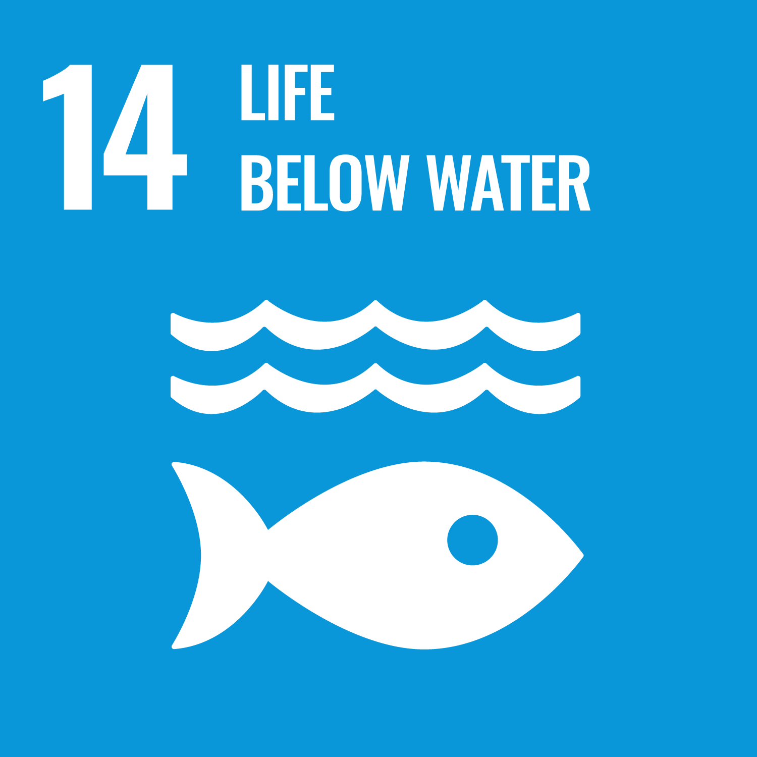 Life Below Water UN Sustainable Development Goal 14 logo