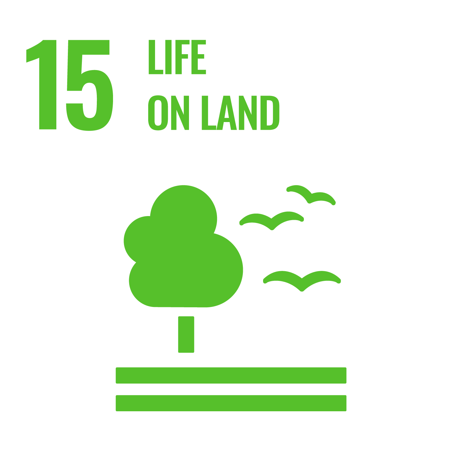 Image for Life on Land Sustainable Development Goal