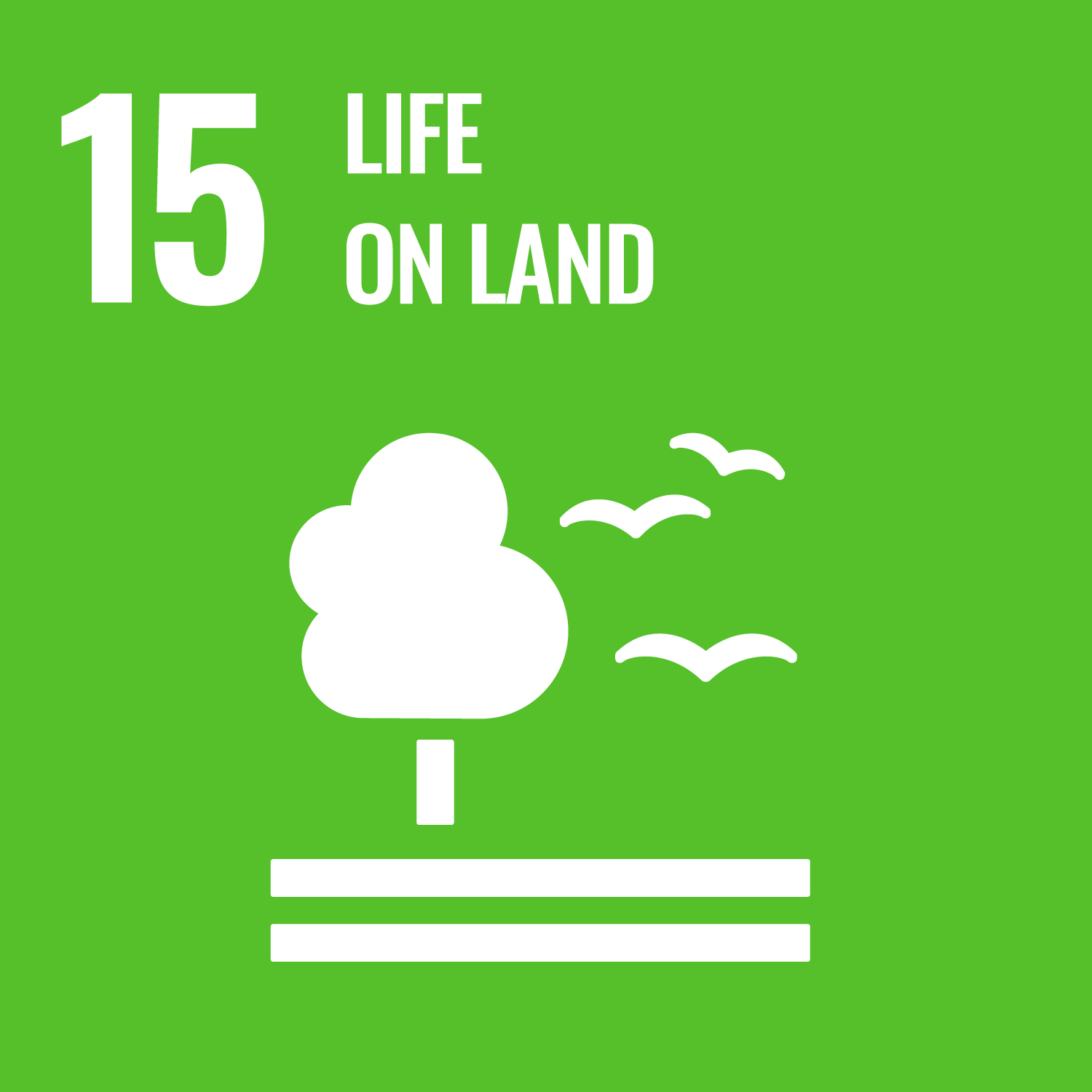 Life on Land UN Sustainable Development Goal 15 logo