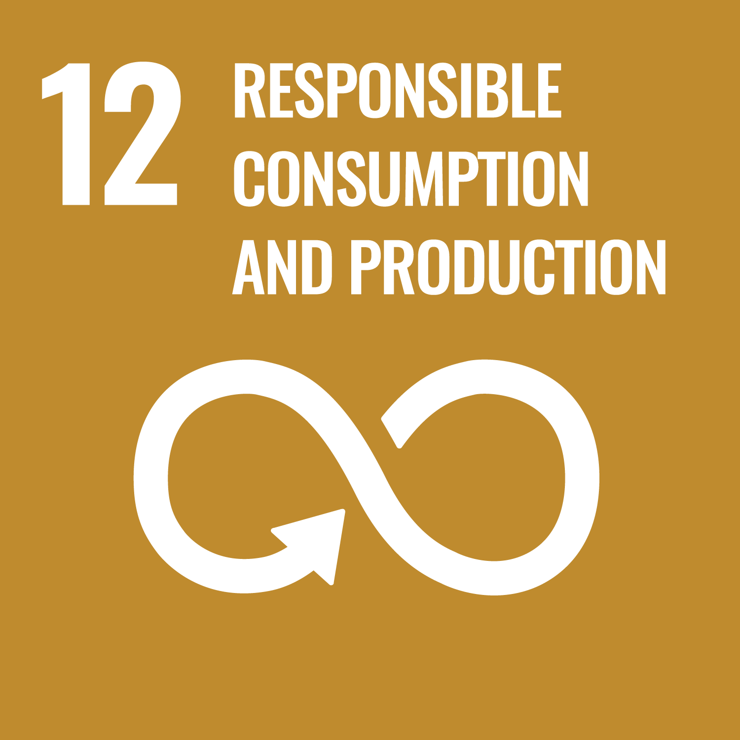 Responsible Consumption and Production UN Sustainable Development Goal 12 logo