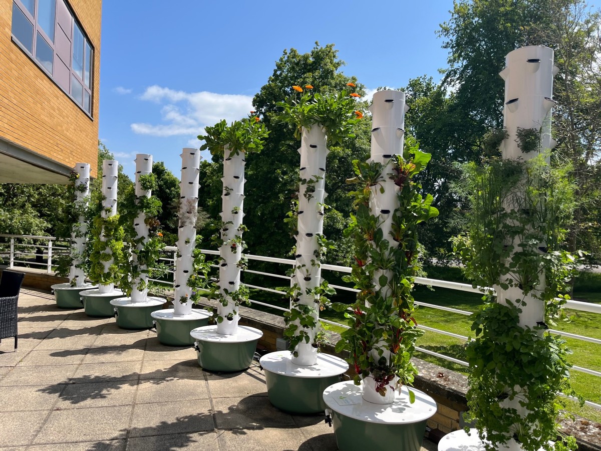 Tower garden at Lakeside Restaurant