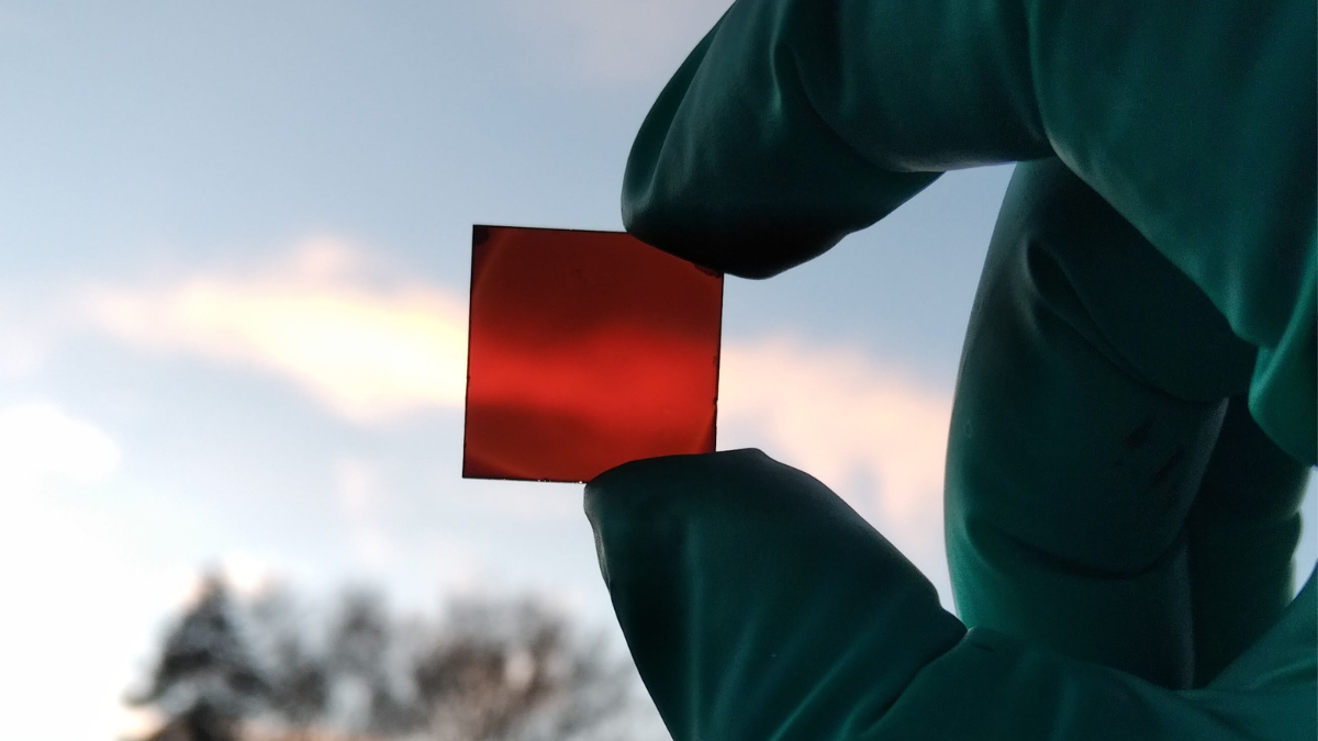 scientist holds bendy solar cell up to light