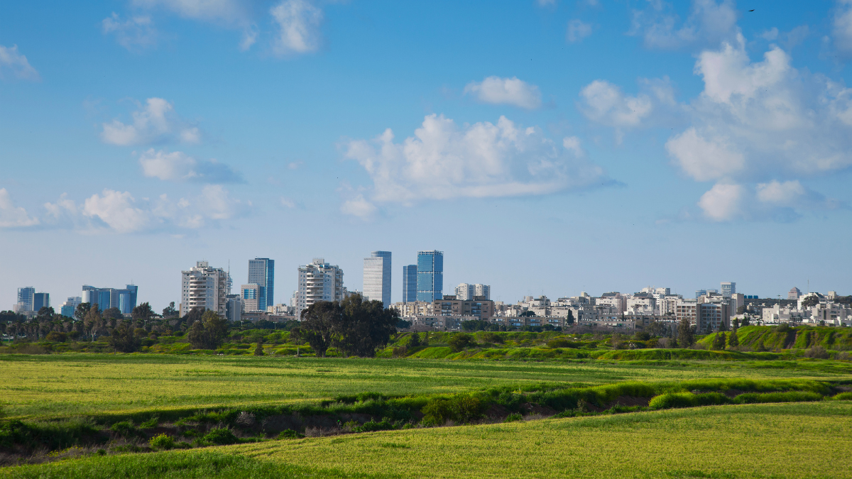 Tower blocks in a city, viewed from nearby green fields