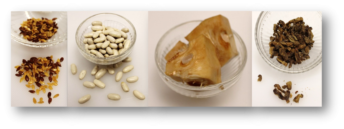 Examples of alternative protein sources