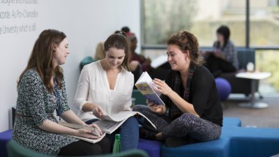 Postgraduate and placement students in library