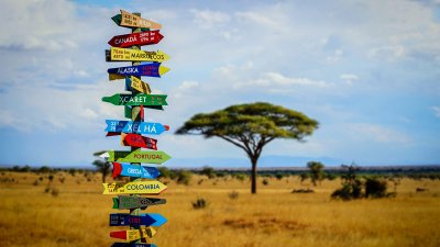 Long signpost with colourful signs