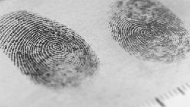 Fingerprint markings and measurements