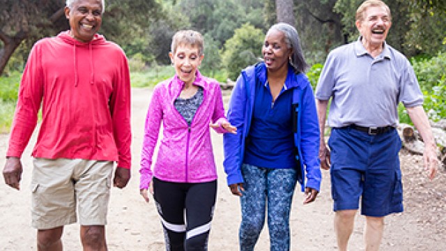 A group of older people are walking through a park on a sunny day.