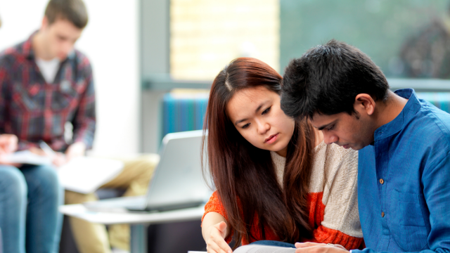 International Financial Management and International Business Management students