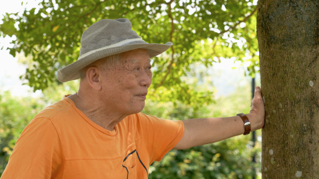 elderly man rests beside a tree