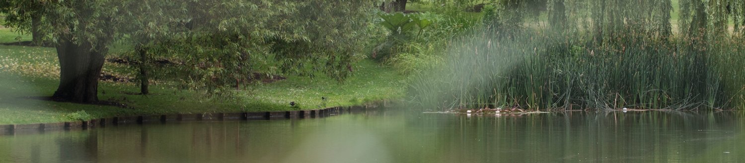 View across the lake