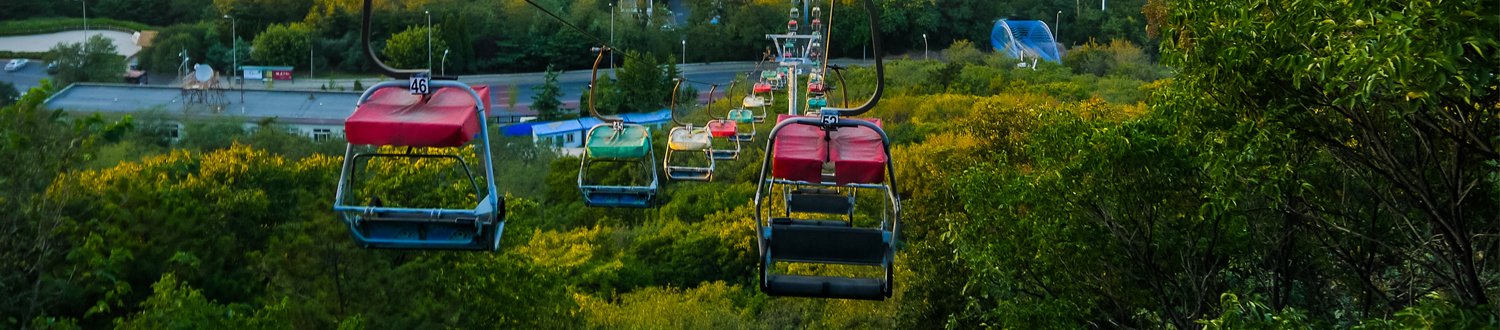 Cable cars above canopy