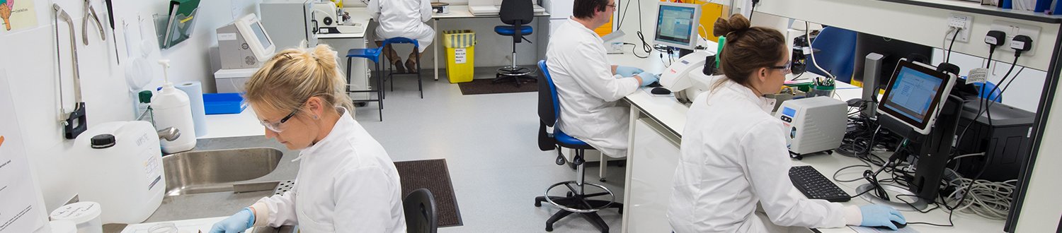 histopathology staff working in the histopathology lab