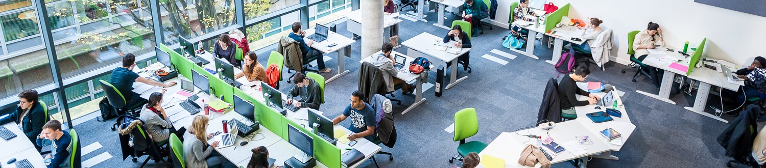 Students working on computers in the library