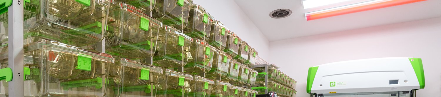 Mouse holding containers in the Biomedical Research Facility