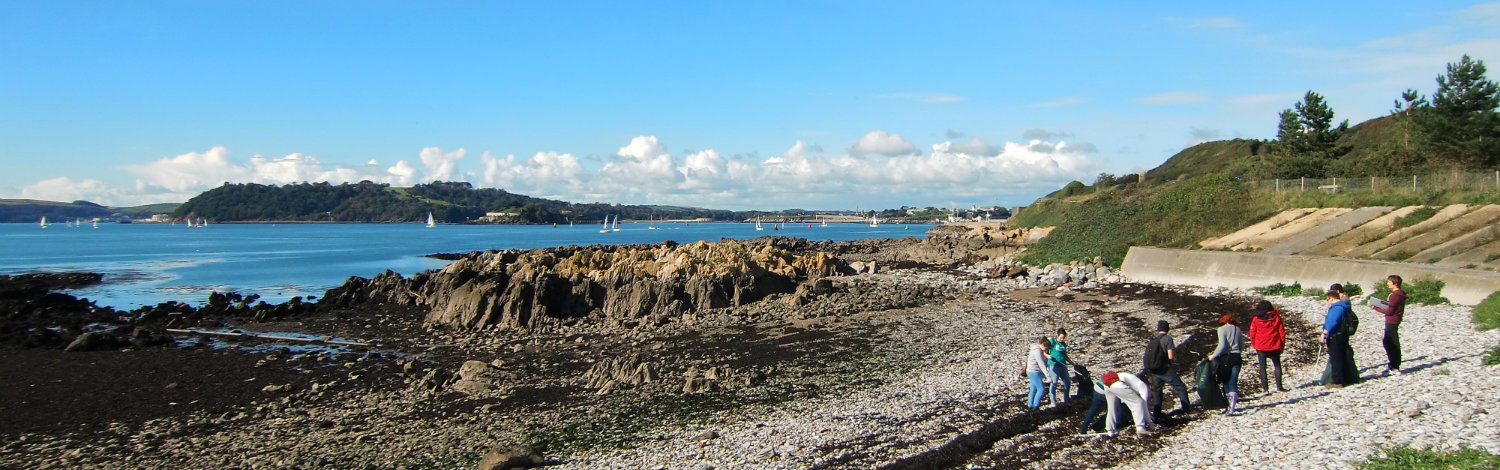 Students doing beach clean