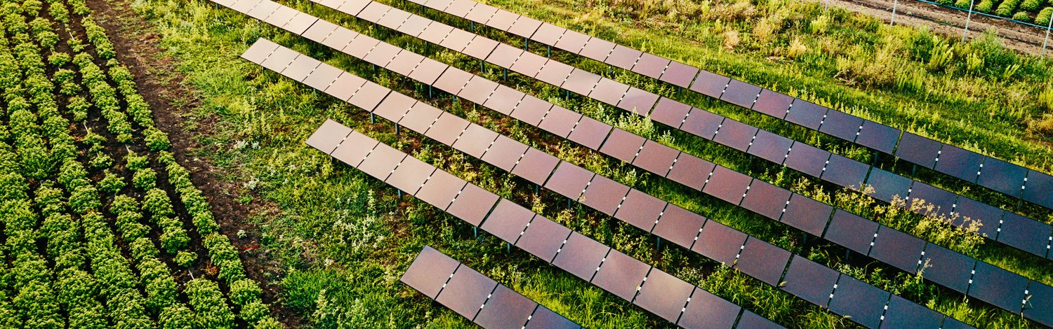 Grass field with solar panels