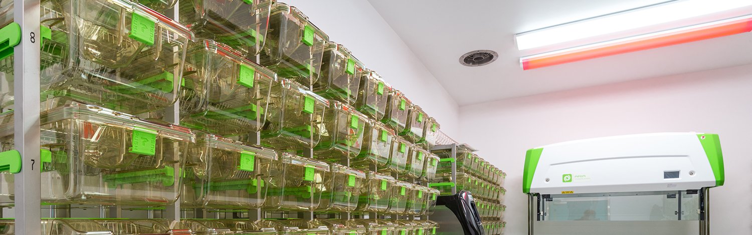 Mouse holding containers in the Biomedical Research Facility