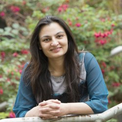 Dr Alvina Gillani