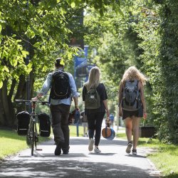 Students walking on campus