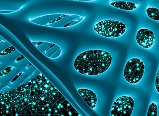 Biomaterials illustration