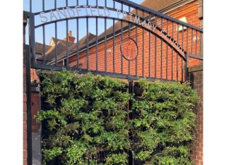 A green gate with pouched screens with plants growing. Above, metalwork says "Sandfield Primary School"