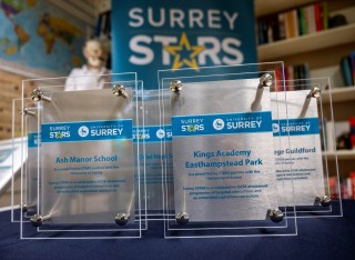 Surrey Stars plaques