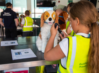 Primary School students at the Surrey Vet School