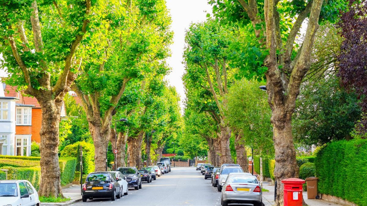 Cars parked on a street