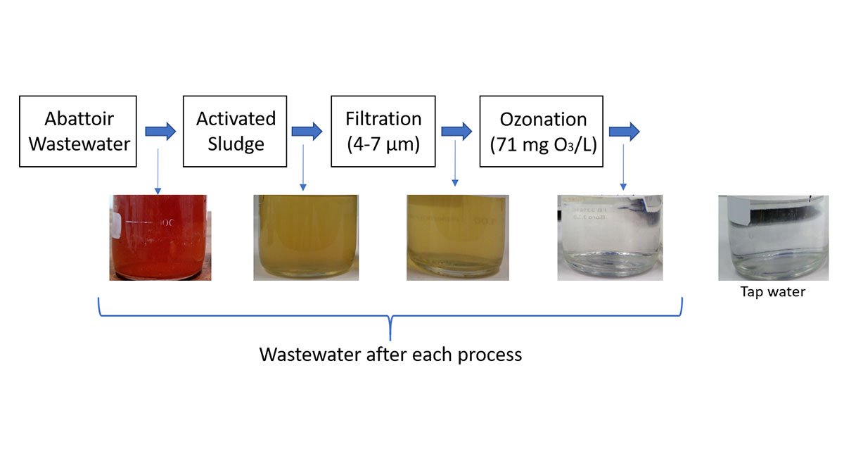 Treatment process and research on abattoir wastewater graph
