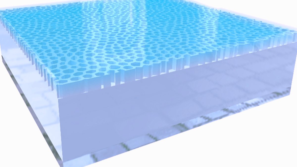 A cross section of the thin silicon membrane and its disordered honeycomb layer