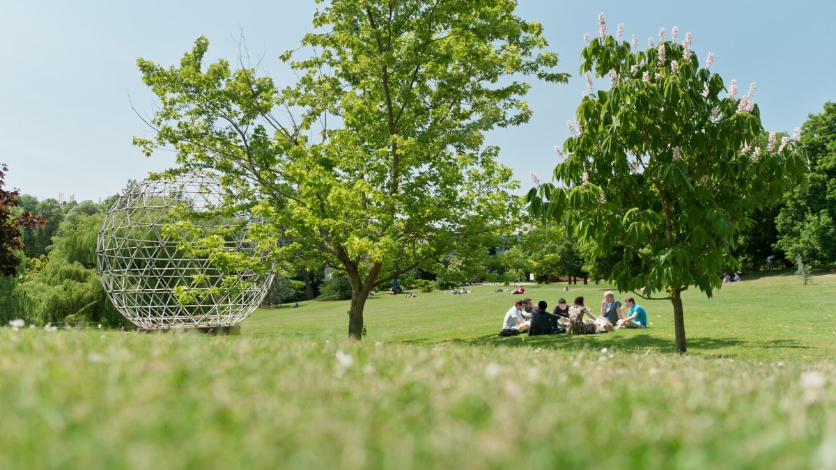 Students relax on the grass