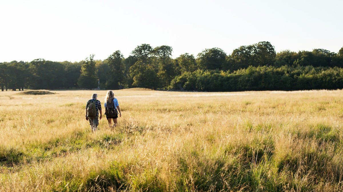 nature_walks