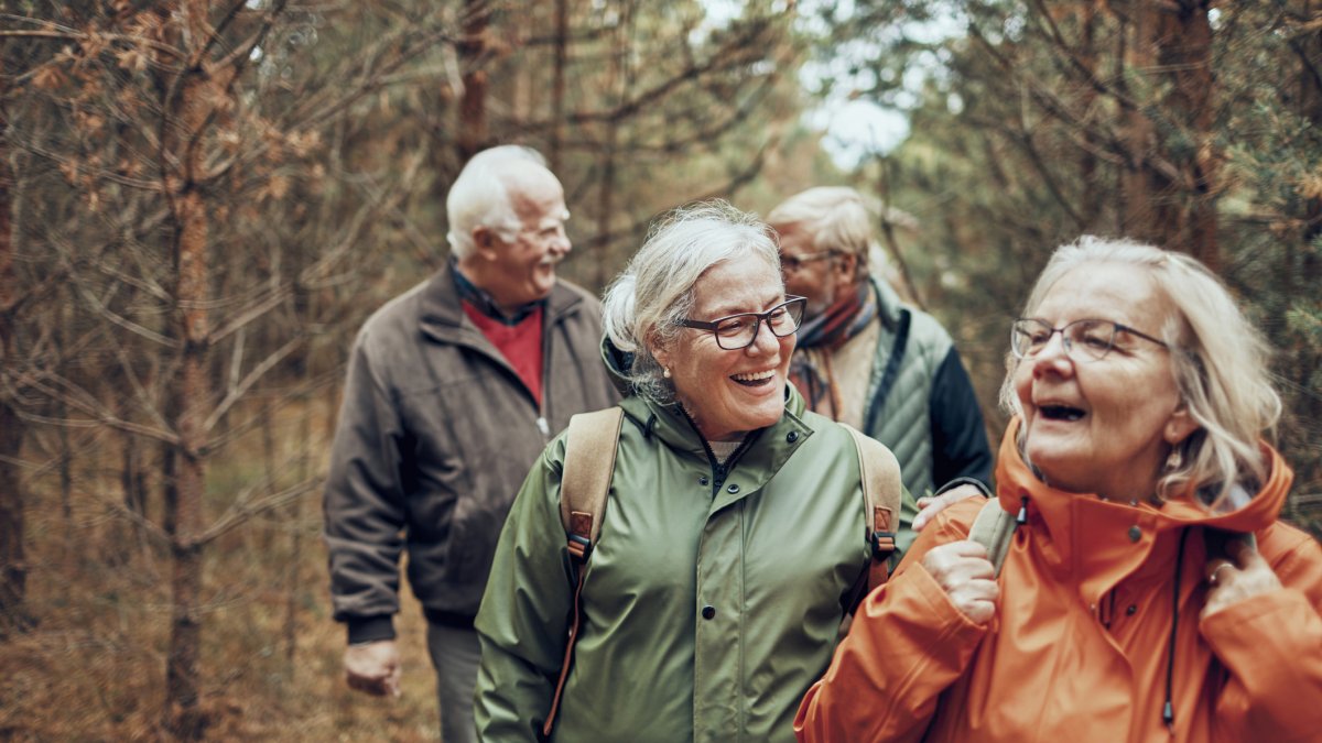 Group of elderly people walking