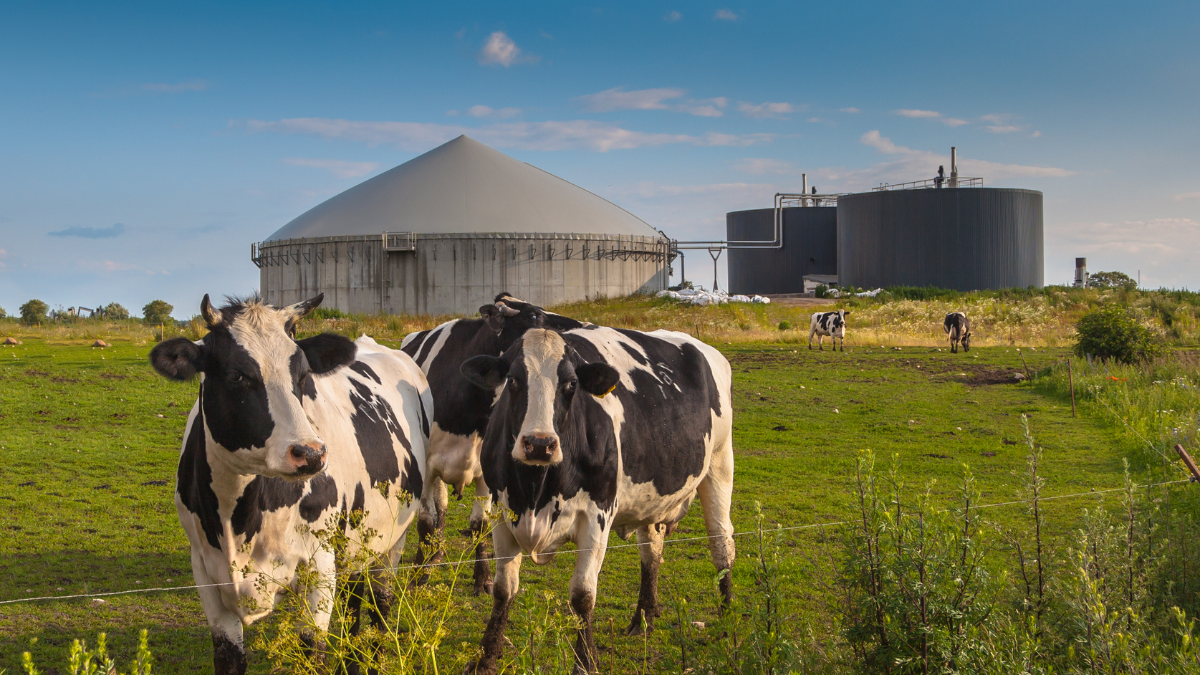 Biogas Getty