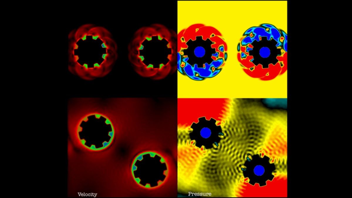 Morpheus makes modelling interactions between moving objects and surrounding fluid easy. In this example, two cogs rotate inside a water bath causing pressure ripples to flow throughout the fluid