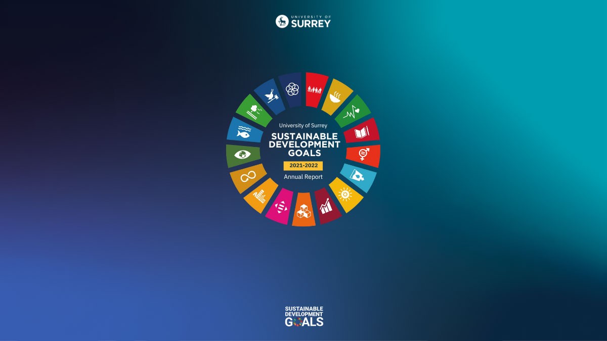 Front cover of SDG report