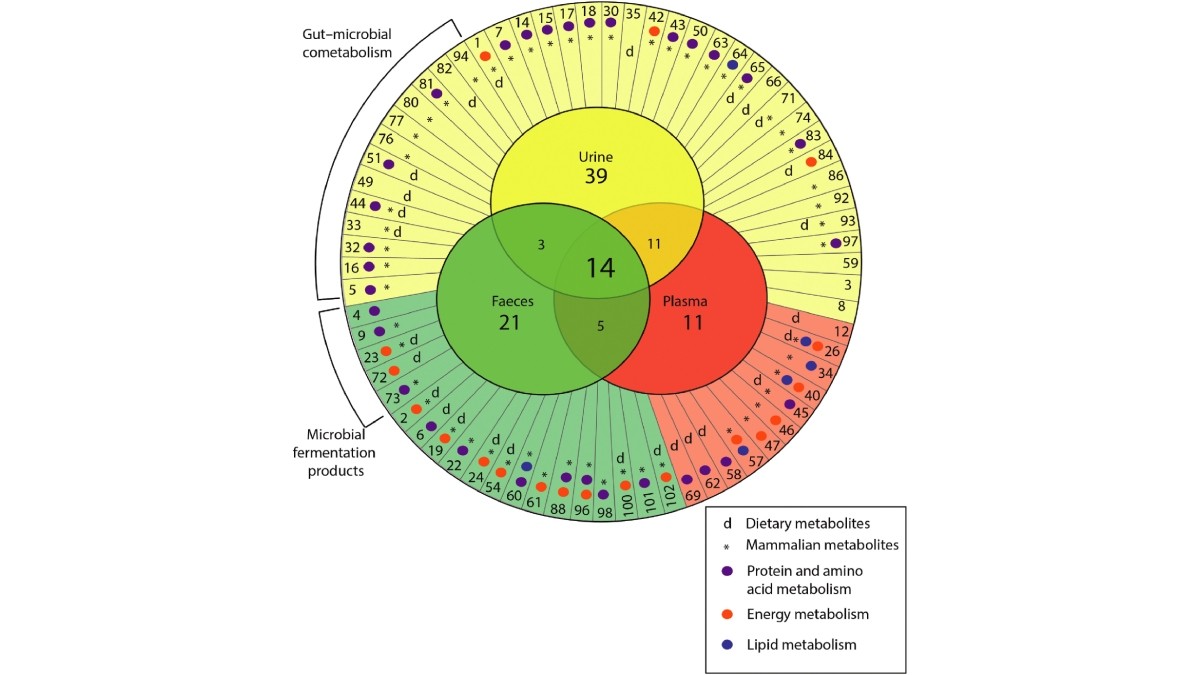 Venn diagram illustrating the metabolomic profile of equine blood, urine and faeces indicating which metabolites are common to more than one biofluid. From Escalona et. al. 2015, “A metabolite atlas of common biofluids.” 