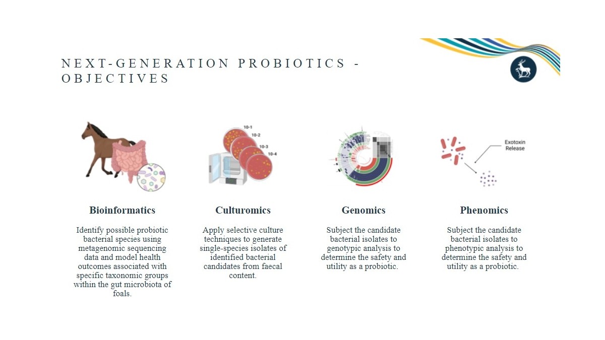 Summary of the objectives of this project under the headings bioinformatics, culturomics, genomics and phenomics.