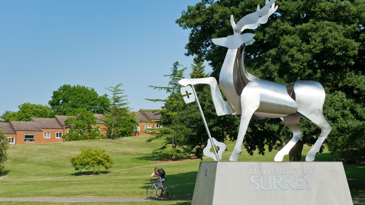 Photograph of the Surrey Stag statue on campus