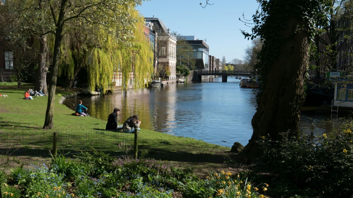 People sat on the grass under a tree by moving water in a city. 