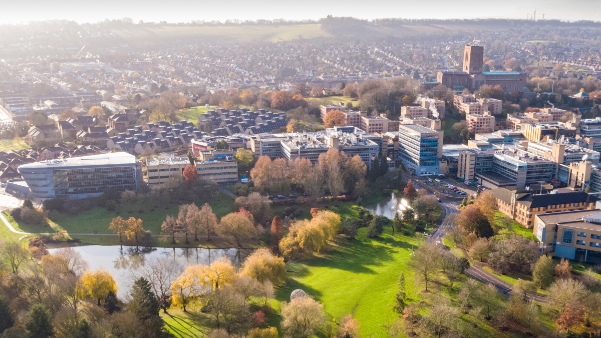 campus photo, very green