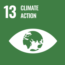 sustainable-development-goal-13 image