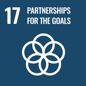 Partnerships for the UN Sustainable Development Goal 17 logo